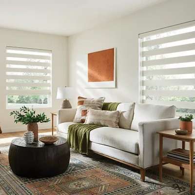 Window Shade